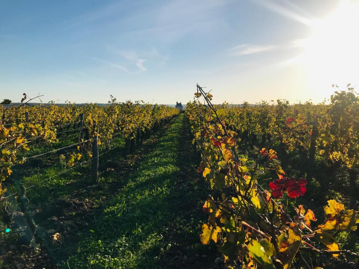 L'Ecrin De Verdure Ligre Bagian luar foto