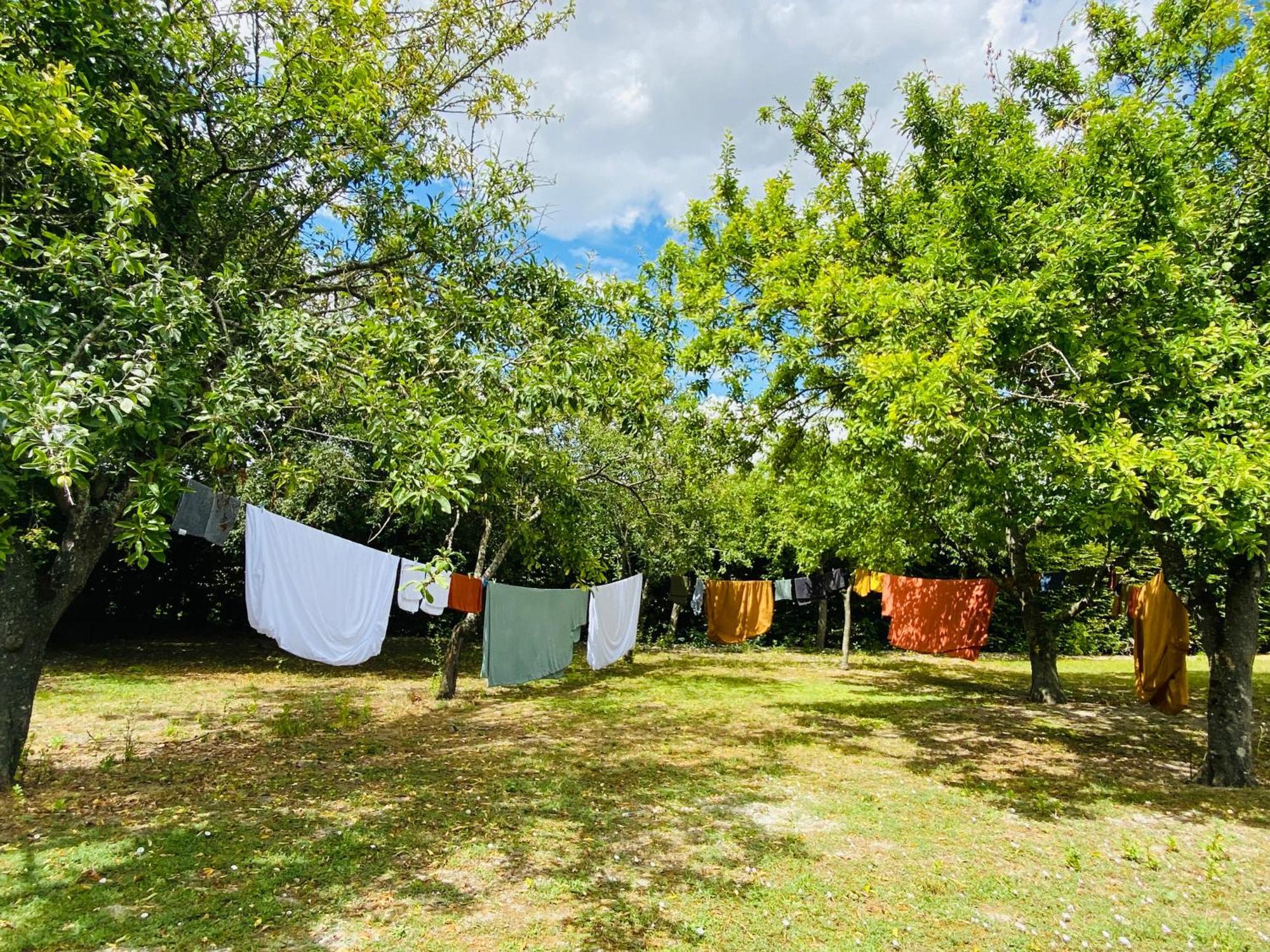 L'Ecrin De Verdure Ligre Bagian luar foto