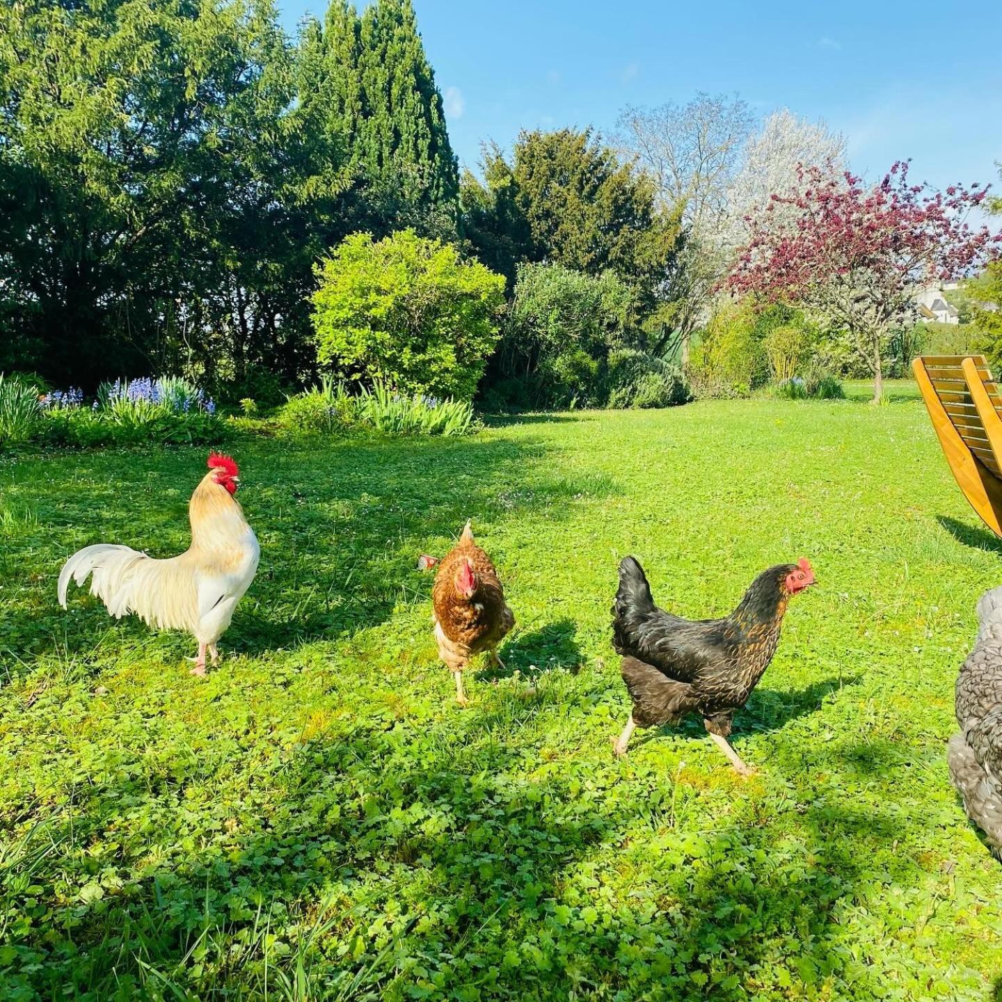 L'Ecrin De Verdure Ligre Bagian luar foto