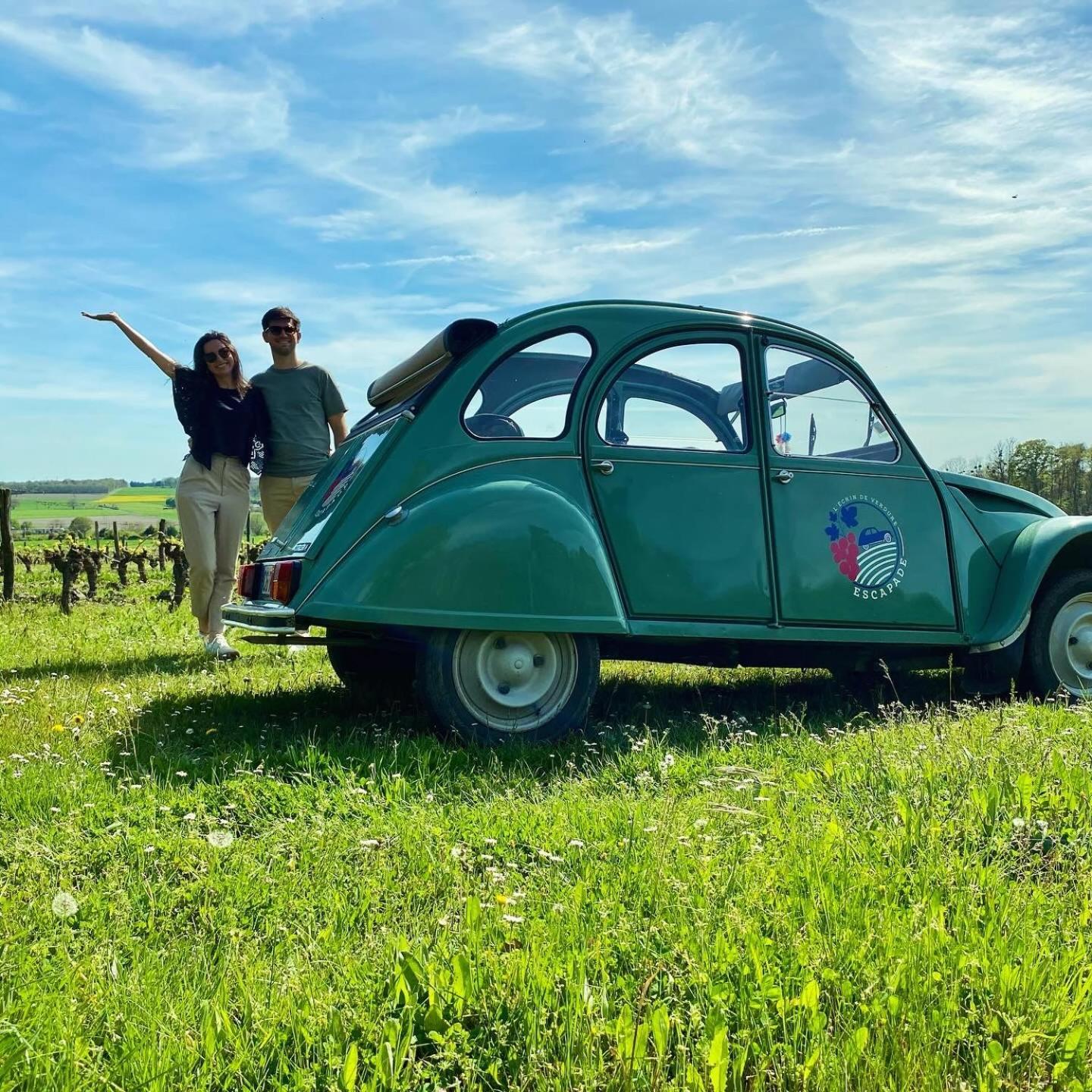 L'Ecrin De Verdure Ligre Bagian luar foto