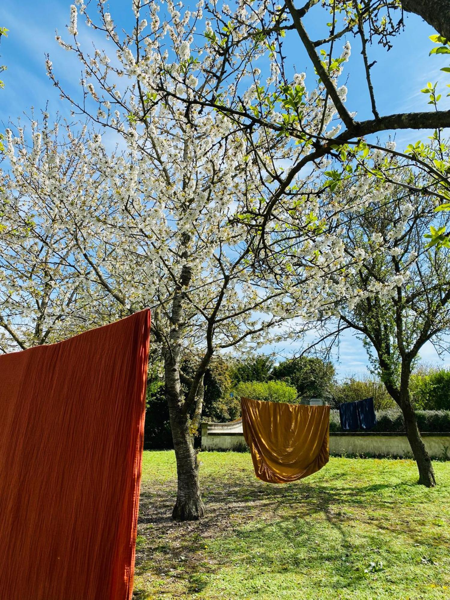 L'Ecrin De Verdure Ligre Bagian luar foto
