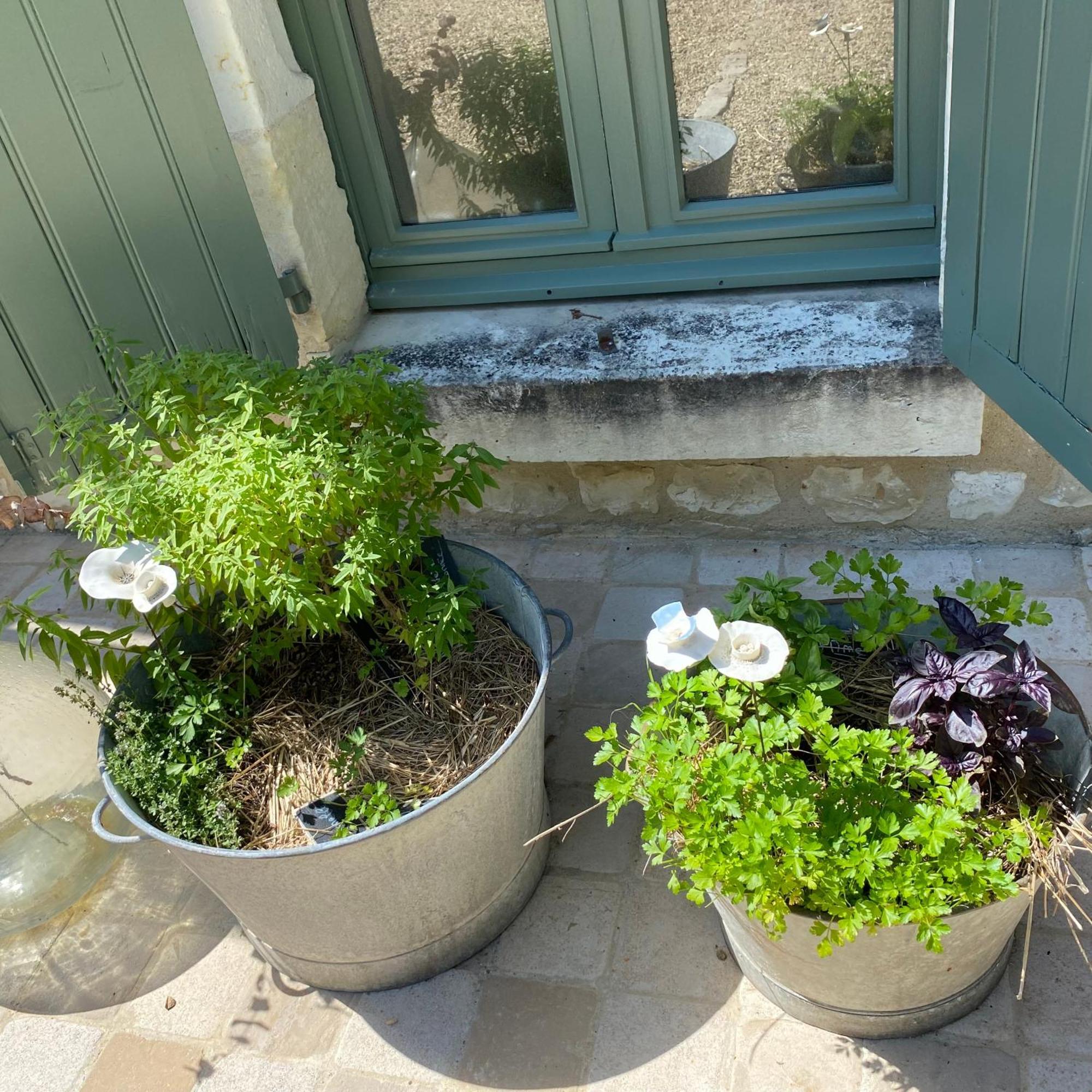 L'Ecrin De Verdure Ligre Bagian luar foto