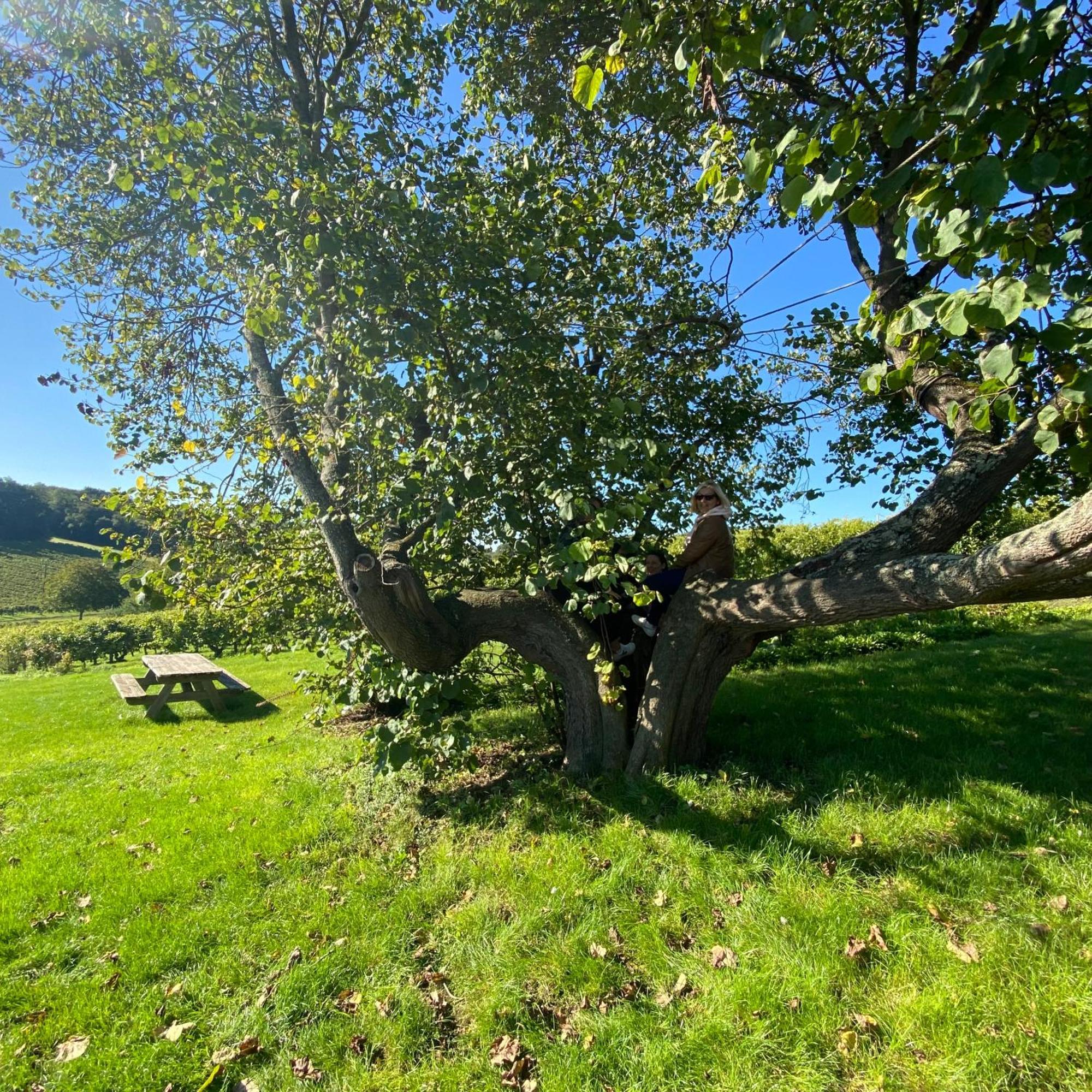 L'Ecrin De Verdure Ligre Bagian luar foto